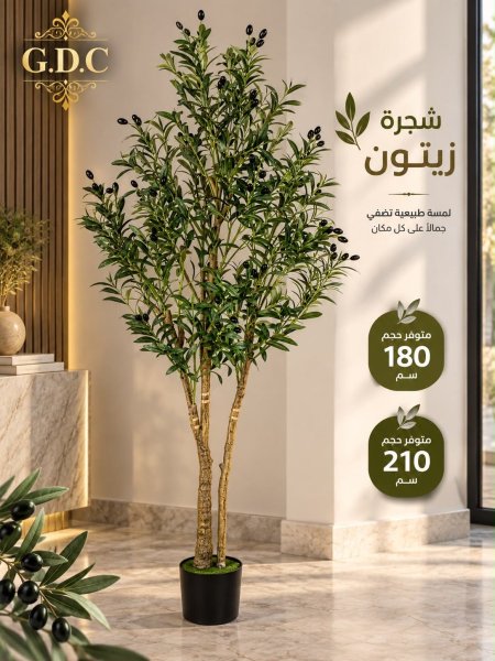 شجرة زيتون